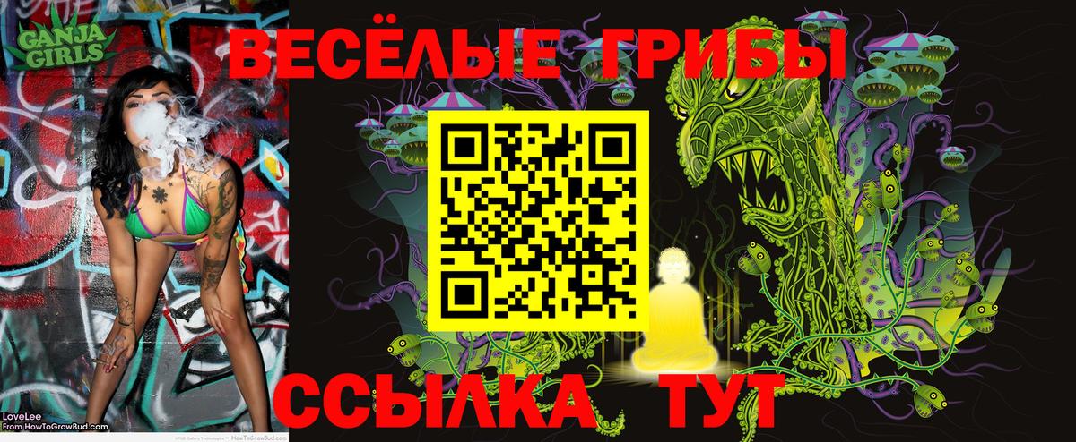 Псилоцибиновые грибы мицелий  Вход с VPN  Краснознаменск 