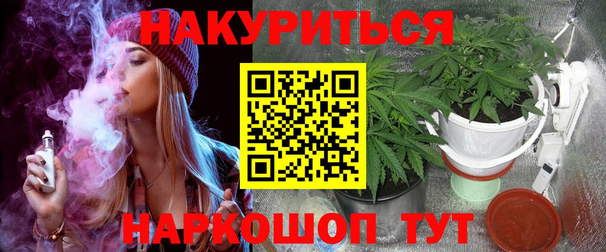 Краснознаменск  Бошки Шишки планчик  Конопля конопля  Марихуана гибрид  Каннабис Amnesia  Вход с VPN 